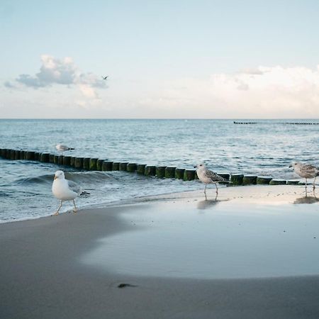 Kamphof Usedom Ferienanlage Loddin Dış mekan fotoğraf
