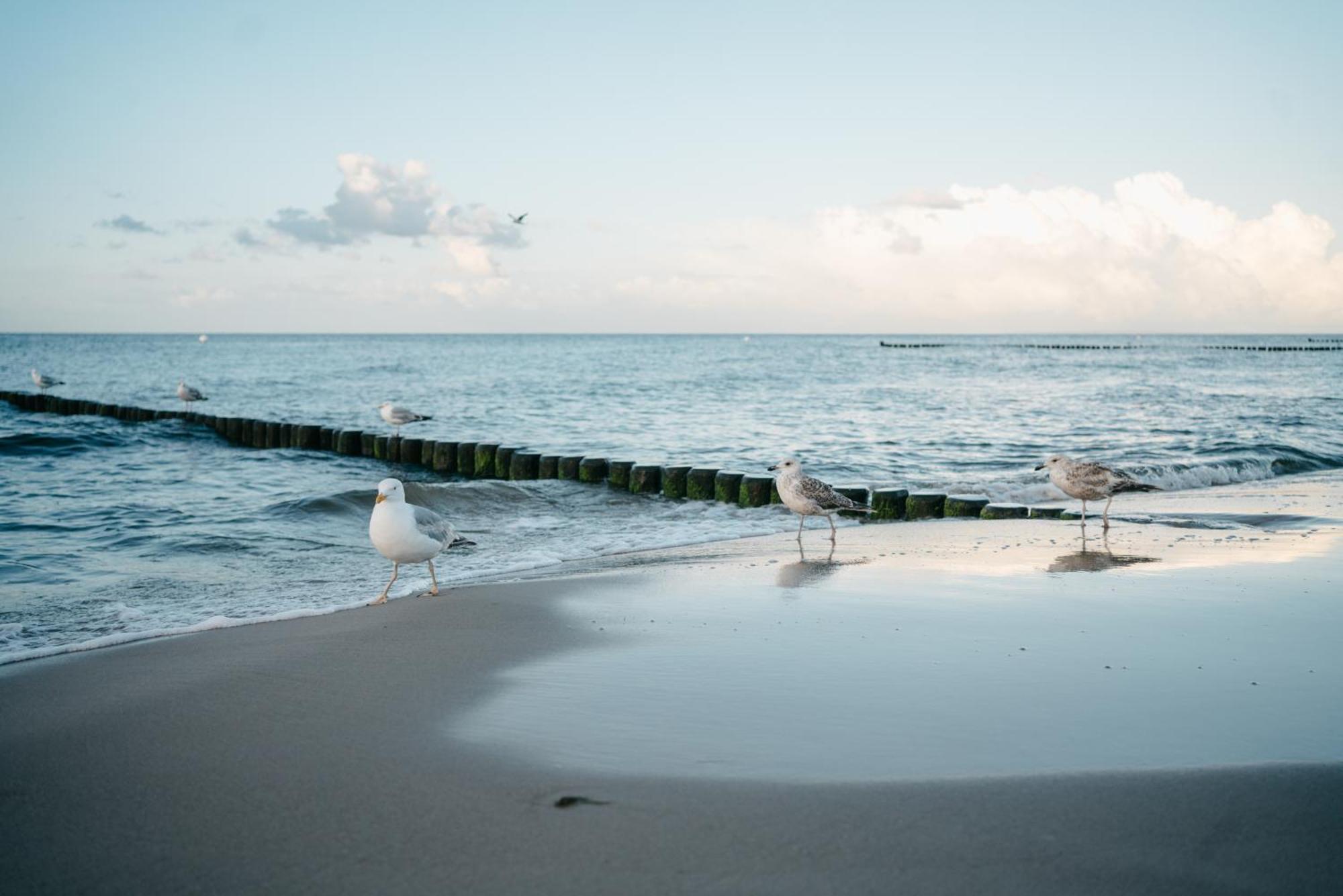 Kamphof Usedom Ferienanlage Loddin Dış mekan fotoğraf